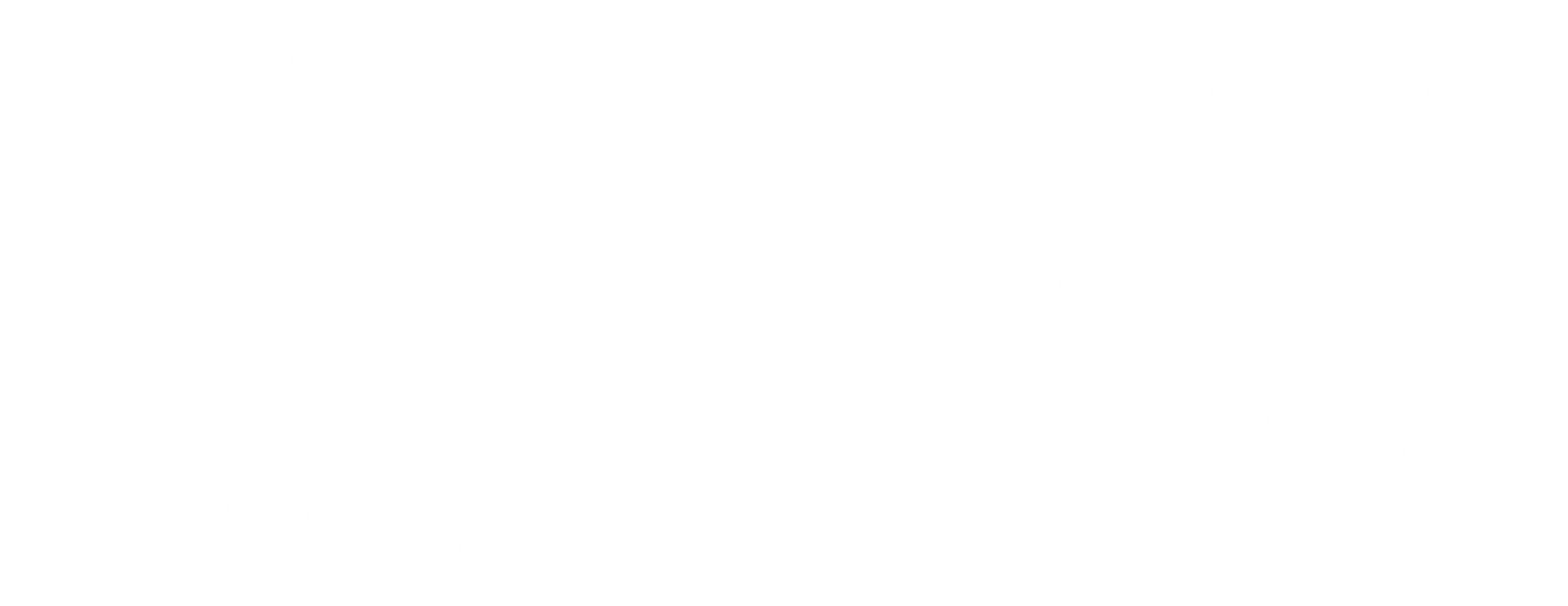 TINA project roadmap: milestones from H1 2025 through global expansion
